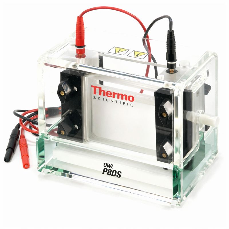 PLACA BLOQUEO P8DS 1/4 TRANSPARENTE THERMO FISHER SCIENTIFIC